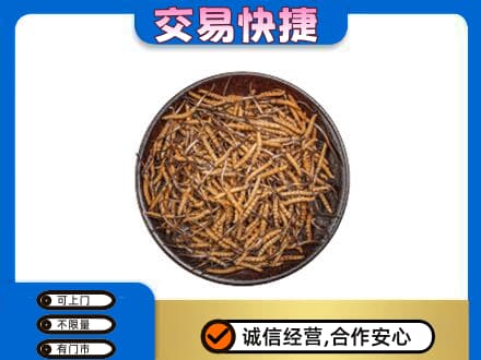 莆田礼品回收虫草.jpg